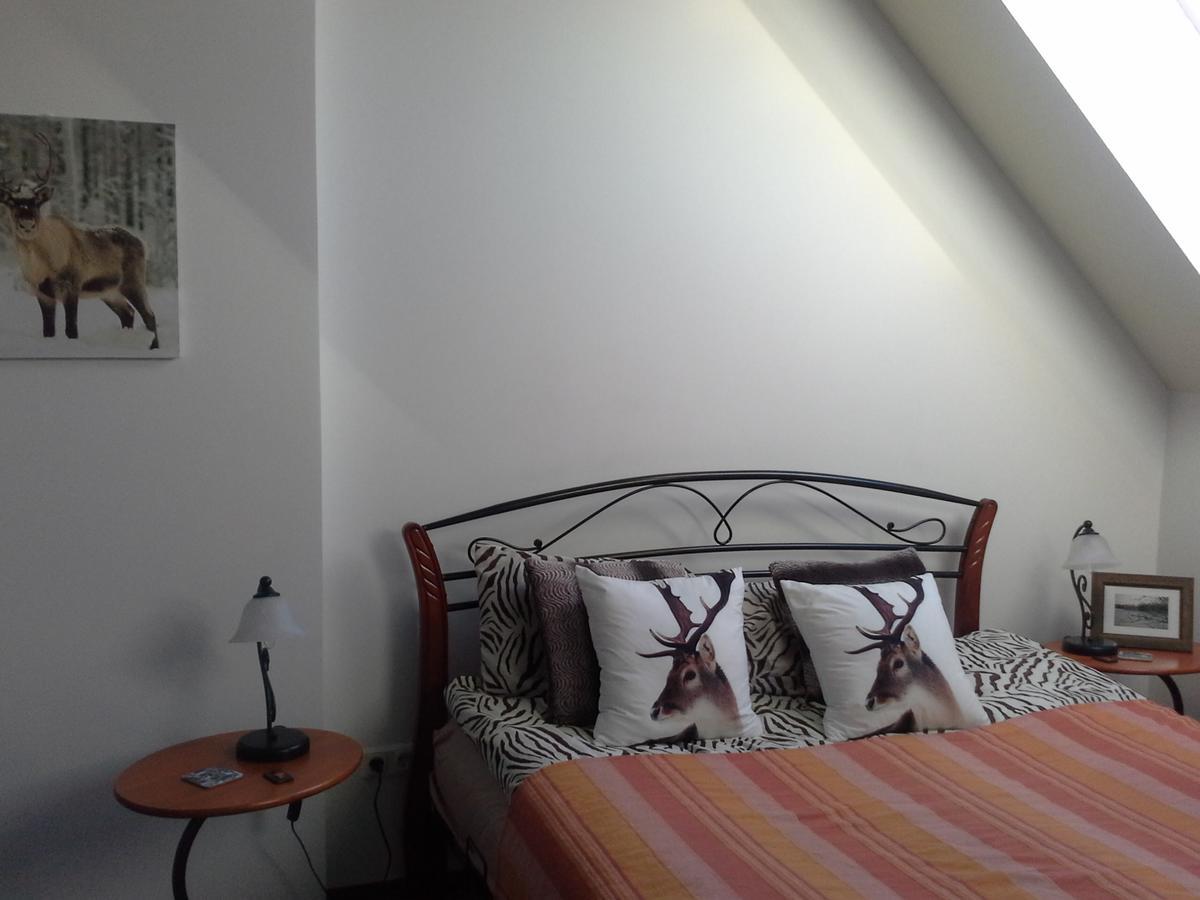 Traku Terasa Apartamento